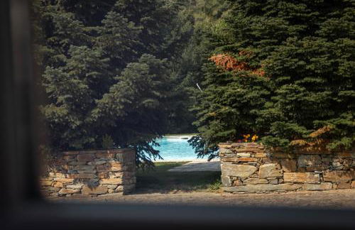 Quinta Madureira - Foto 29