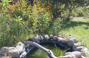 Level Houses - Foto 8