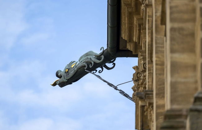 Concordia33 Modern Retreat - Foto 10