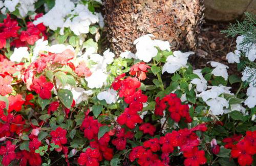 Villa Serenity - Foto 63