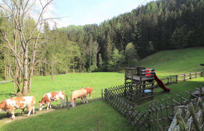 Krechen Alm - Foto 38