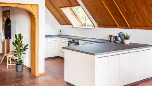 Gemütliche Galerie-Wohnung in Biberach - Foto 4, stove, dishwasher