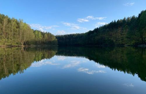 DOMY na GÓRCE - Photo 16