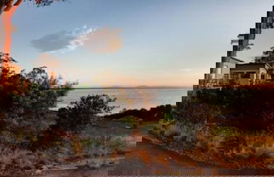 Swansea Beach Chalets - Foto 33