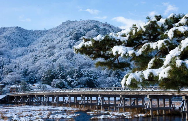 Excursión a Arashiyama, Kinkakuji y Nara - Foto 1