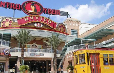 2 MI to USF + Long Term Stays allowed + Gym + Pool - Foto 66