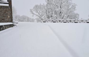 Pallas Casa - Photo 56