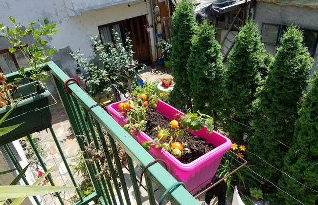 Downtown Duplex - Foto 36