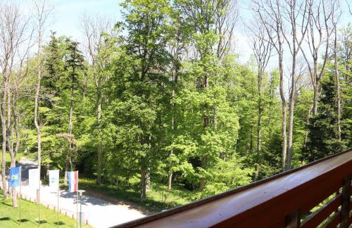 Aparthotel Snjezna Kraljica - Foto 47