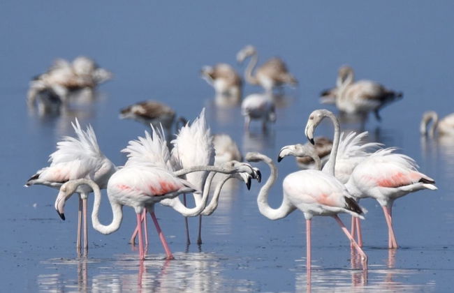 Relaxing Retreat in Chalikounas: Apartment - Foto 6