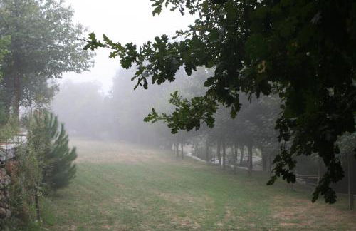 Cazal Da Lamella - Foto 7