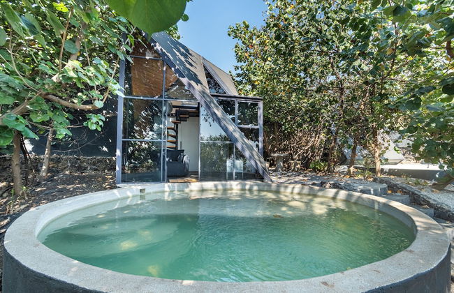 Bosque Geométrico - Foto 76