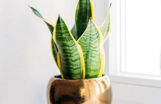 Kichinger Hof 37 - Foto 6