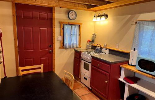 Cozy Rustic Cabin with Riverside Patio on the Pecos River – Pecos, New Mexico - Foto 25