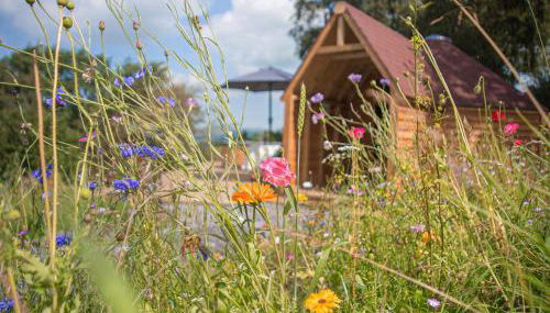 Dol Y Mynydd The Mountain Meadow - Cottage - Foto 4