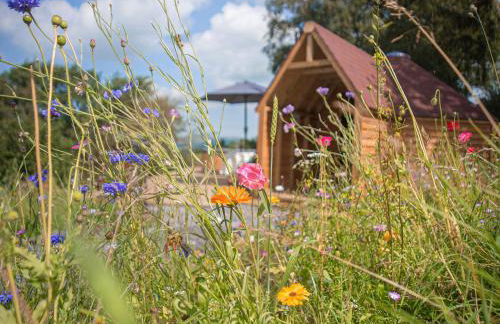 Dol Y Mynydd The Mountain Meadow - Cottage - Photo 4