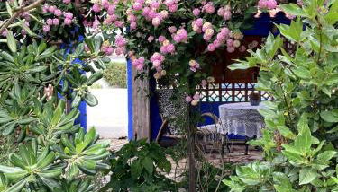 La Casita Azul, L'Escala, Con climatización - Foto 4, Garden