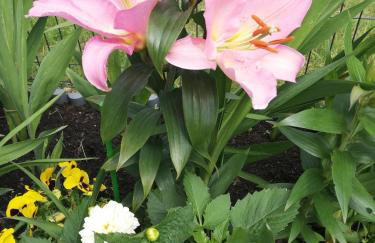 Apartament Zielone Wzgórze 2 - Foto 32