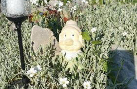 Apartment Nika - Foto 21