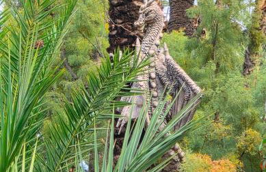 Apartment La Siesta - Foto 26