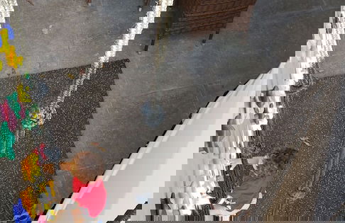 Chira Glamping Resort Monteverde - Foto 4