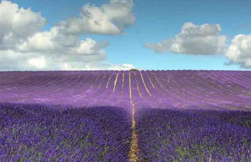 Stylish 3 Bed House Hitchin - Foto 16