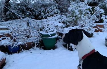 Pirnie Lodge Holiday Lets - Foto 49