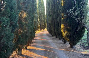 Le Porrine - Foto 30