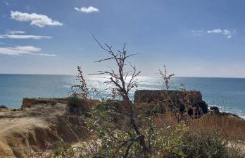 Baia Village - Galé - Albufeira - Foto 57