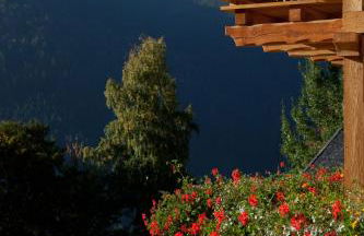 Agriturismo Chalet Fogajard - Foto 129