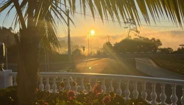 Villa Familia Dehoux - Foto 2, Garden