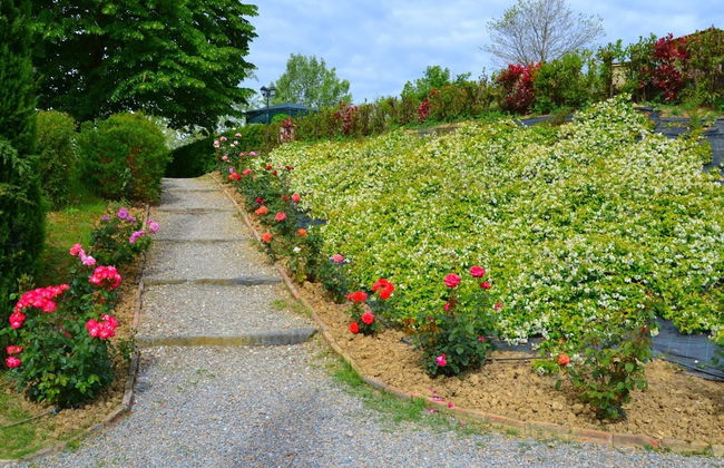 Belvilla by OYO Giglio - Foto 30