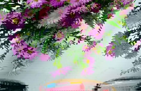 Studio Apartment near Airport - Foto 29