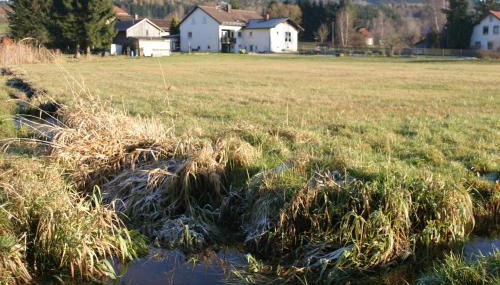 Haus am Treffenbach - Foto 2, Garden
