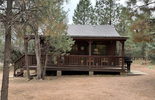 Western theme! Amazing Spa, Fireplace and Deck! - Foto 21