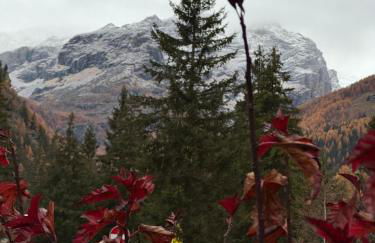 Grande Maison Du Coeur Champoluc Spa,Gym e Aree Relax - Foto 10