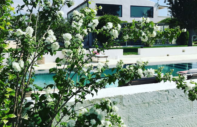 Masseria Prosperi - Photo 76