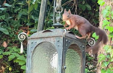 Schloss Suggenstein - Foto 73