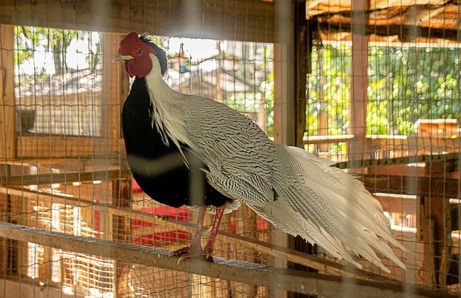 Chácara Rio Jordão - Photo 79