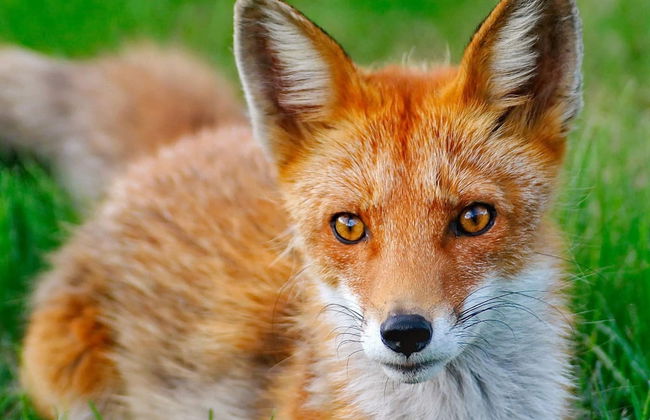 5 Person Holiday Home in Storvik - Photo 3