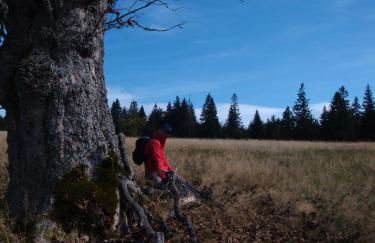 Apartments Josef Seitz - Foto 50