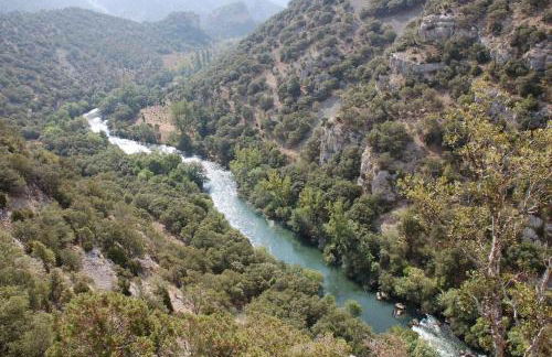 El Abrigaño del Cañón - Photo 59