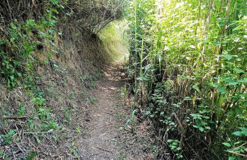Rustic Home in Mieres near Banyoles Lake - Foto 37