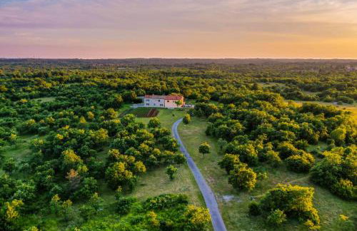 House Gracijela, village Bulići - Foto 5
