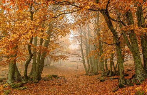 GREDOS RURALRUT cerca del CASTAÑAR de El Tiemblo, Reserva Natural VALLE DE IRUELAS, alojamiento acogedor con cabina hidromasaje, chimenea eléctrica, calefacción, wifi, cocina - Photo 4