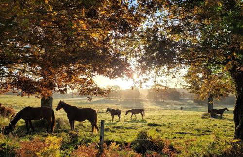 Le Refuge de la Doucette - Foto 12