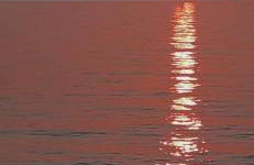 Dolce Casa - Foto 35