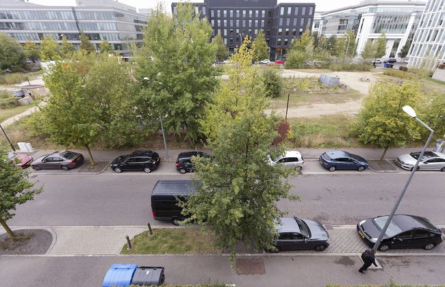 Villa Doria - Photo 64