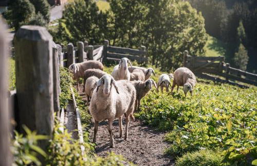 Batacör - Natures Heartbeat - Foto 31