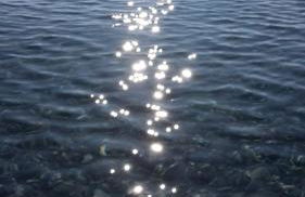 Come a casa - Foto 54